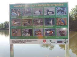 Zámecké zahrady