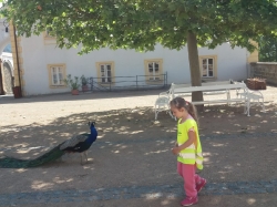 Zámecké zahrady