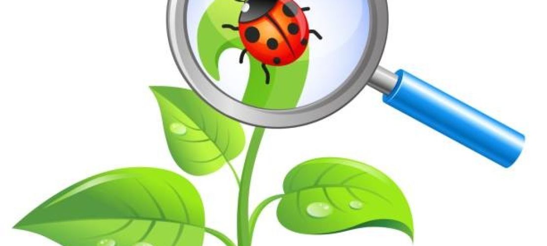 istockphoto-925528674-612x612