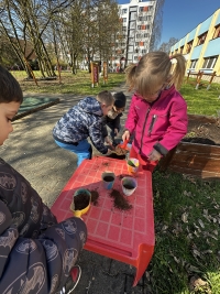 Rozkvetlá zahrádka babičky Květy