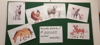 Zv&iacute;řec&iacute; rodinka